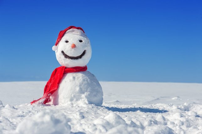 Sciences – Le plus petit bonhomme de Neige au monde