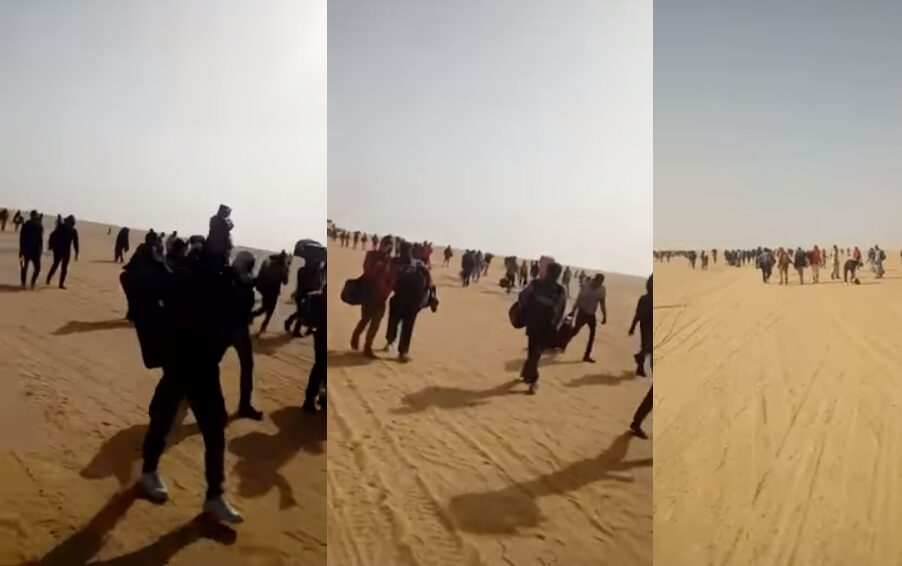 #Algérie 🌍 Des migrants expulsés et déposés en plein désert du Sahara (vidéo)