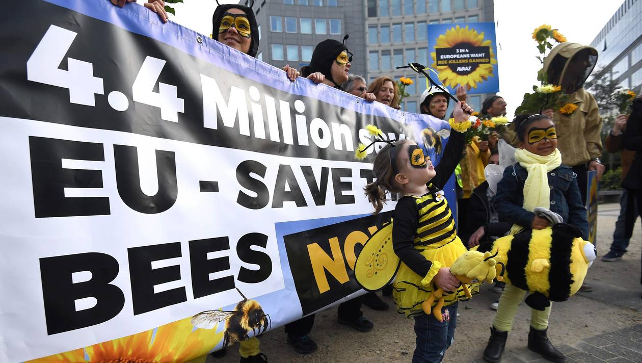 L’Union européenne interdit trois pesticides tueurs d'abeilles