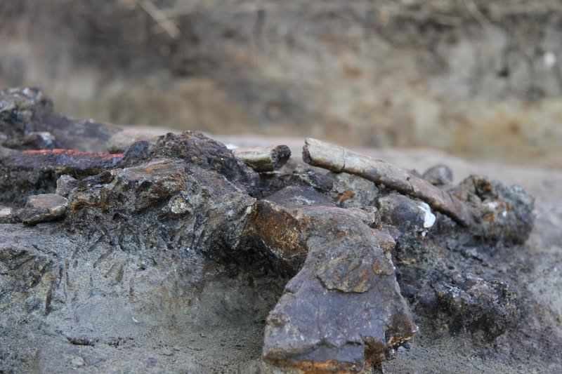 Les humains étaient présents dans les îles Philippines il y a 700 000 ans