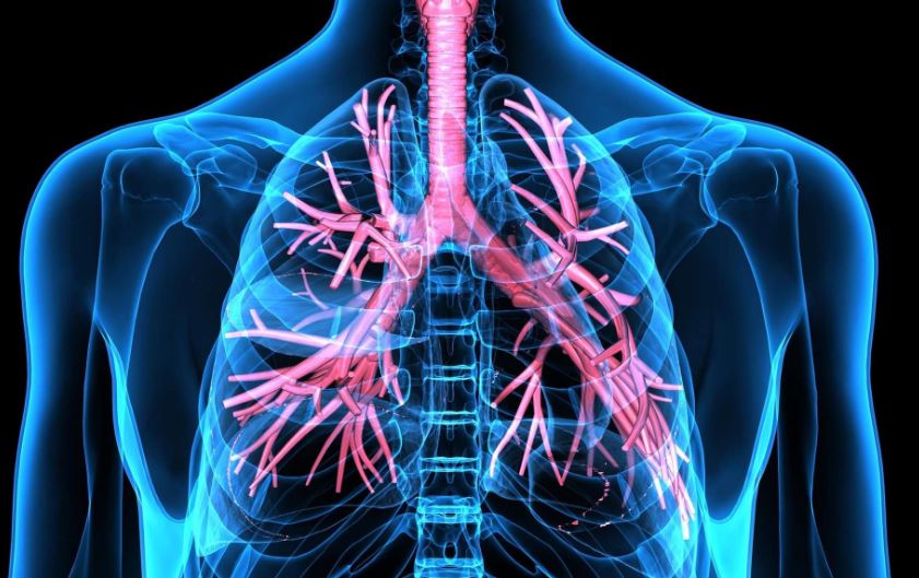 Médecine occidentale – Greffe de l’appareil respiratoire : une équipe de chirurgiens franciliens réalise une première mondiale