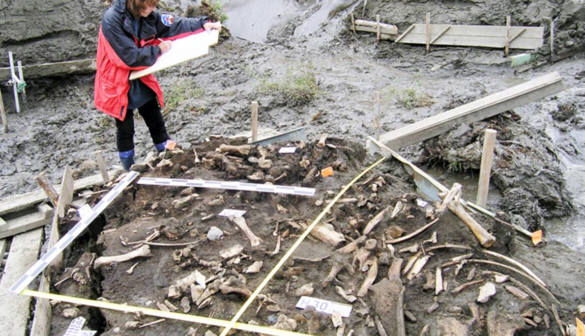 #Sibérie 🇷🇺 Des dents vieilles de 31 000 ans révèlent l’existence d’une population humaine inconnue